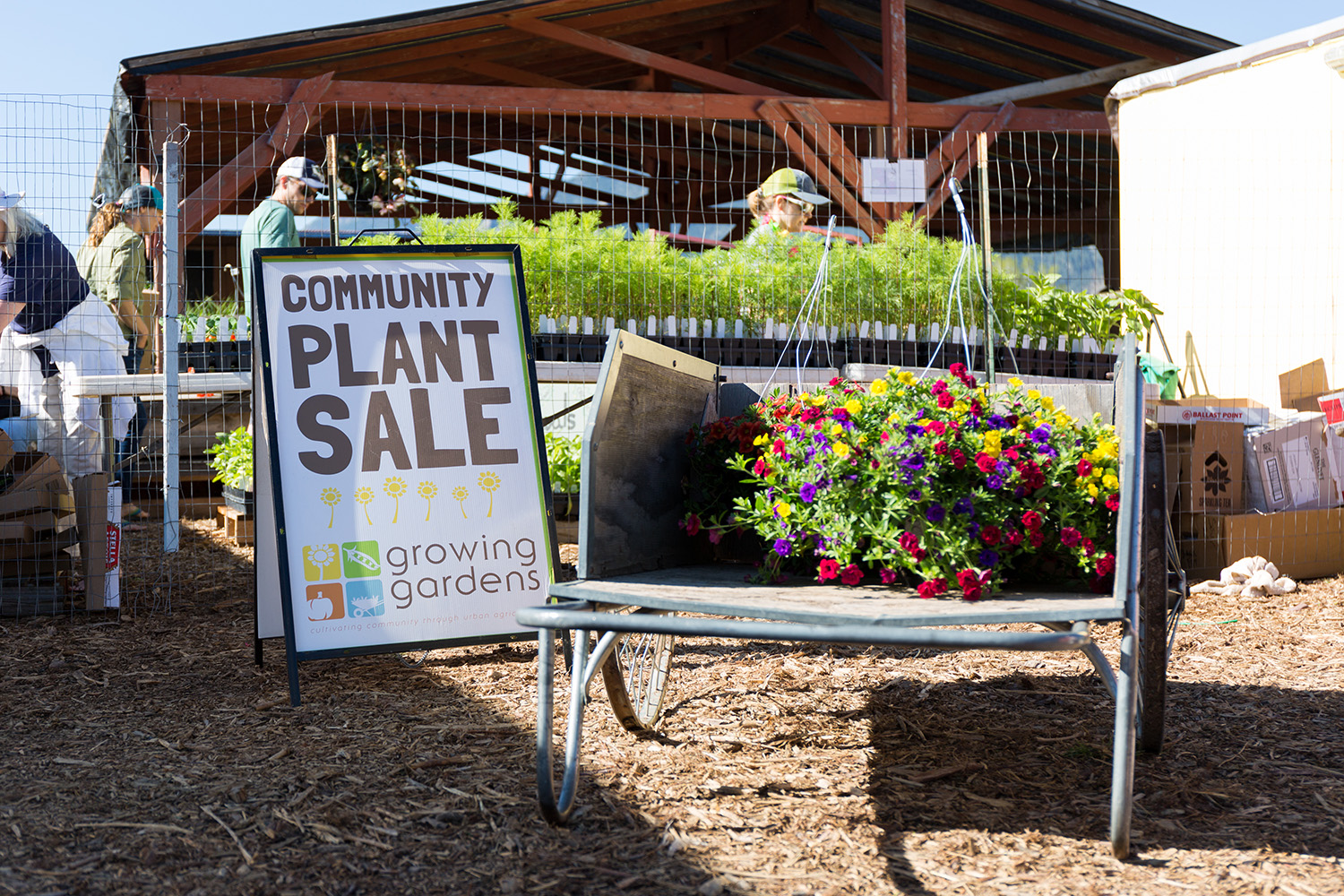 Community Plant Sale (Weekend 2) Growing Gardens