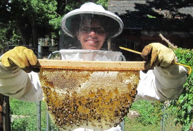 Eco-briefs-The-buzz-on-beekeeping-article-photo.jpeg