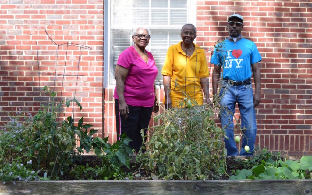 How-Community-Gardens-Connect-Seniors-to-Fresh-Food-and-to-Their-Pasts-1024x643.jpeg